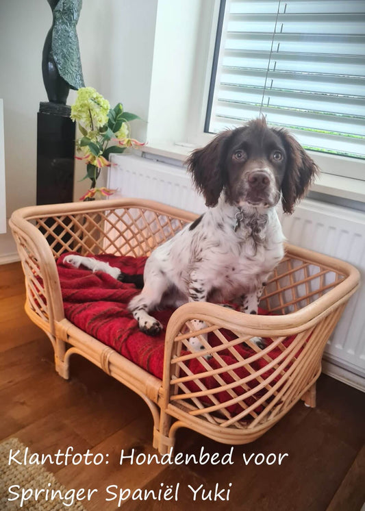 Rotan hondenbed 'Guus' medium