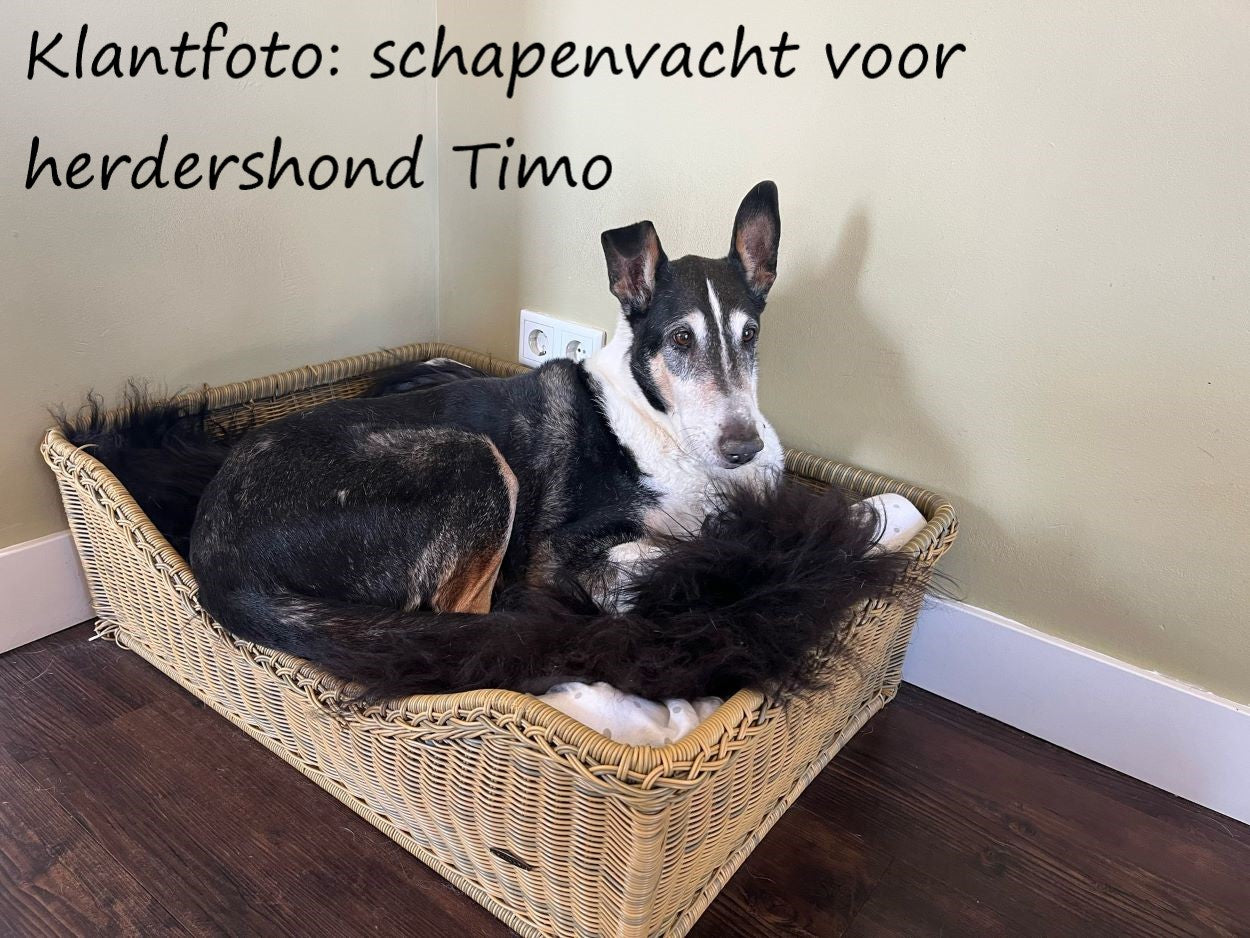 Schapenvacht speciaal voor dieren - zwart bruin