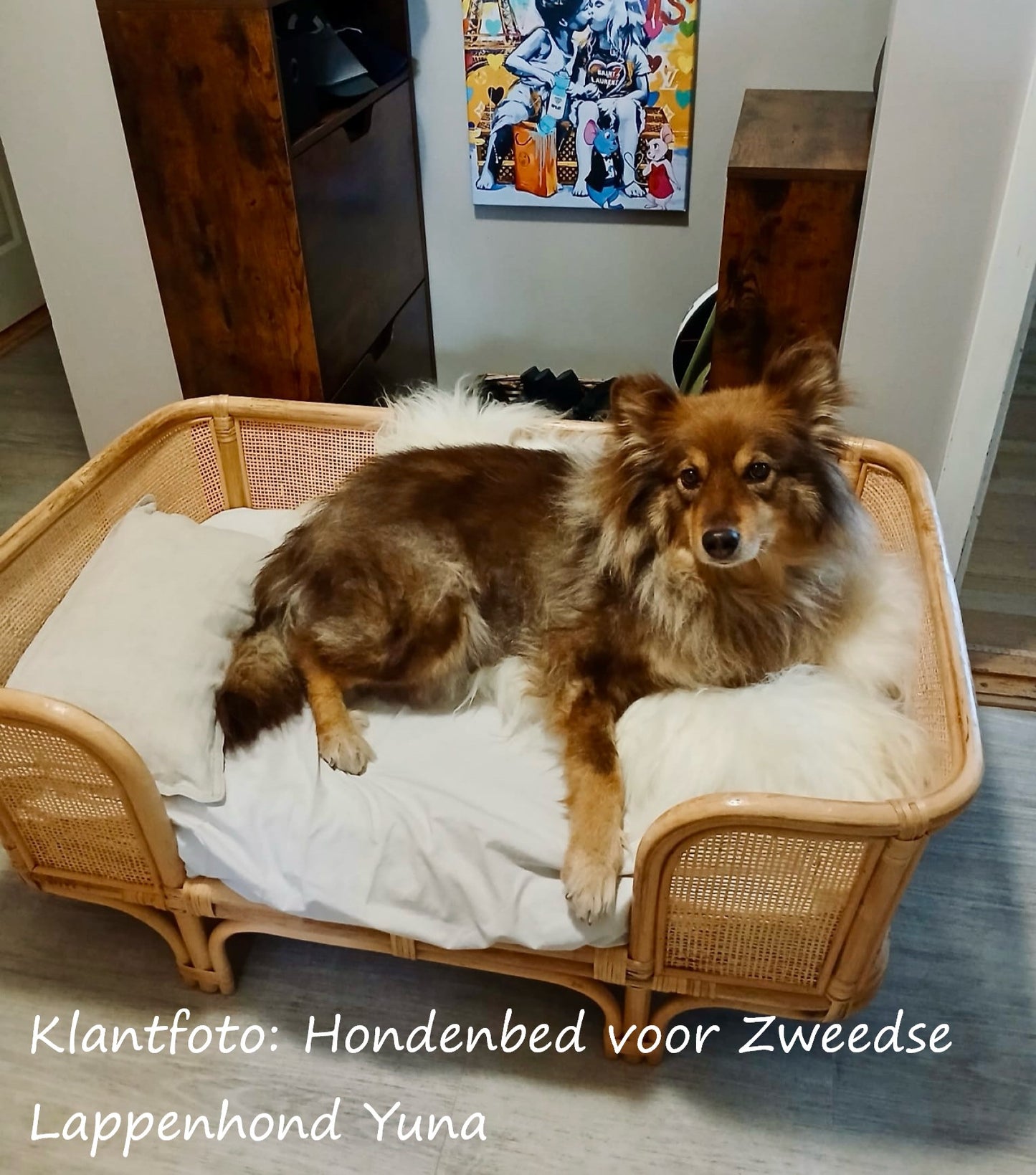 Rotan Hondenbed Nero