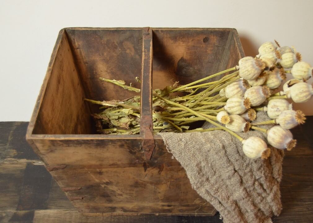 Oude rijstmaat recht